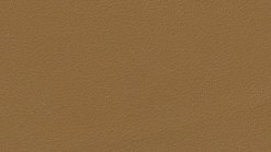 Thema 5001