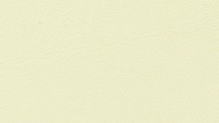 Leather Thema col. 5013