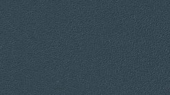 Leather Thema col. 5048