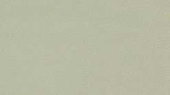Leather Thema 5179